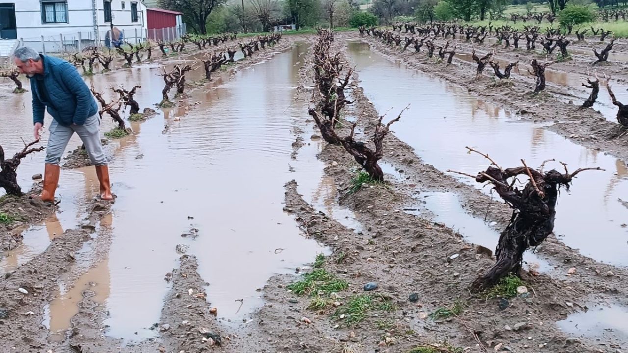Elazığ’da dolu yağışı sonrası hasar tespit çalışması