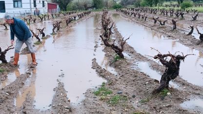 Elazığ’da dolu yağışı sonrası hasar tespit çalışması