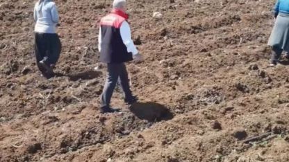 Elazığ’da domates üretiminde yeni sezon  başladı