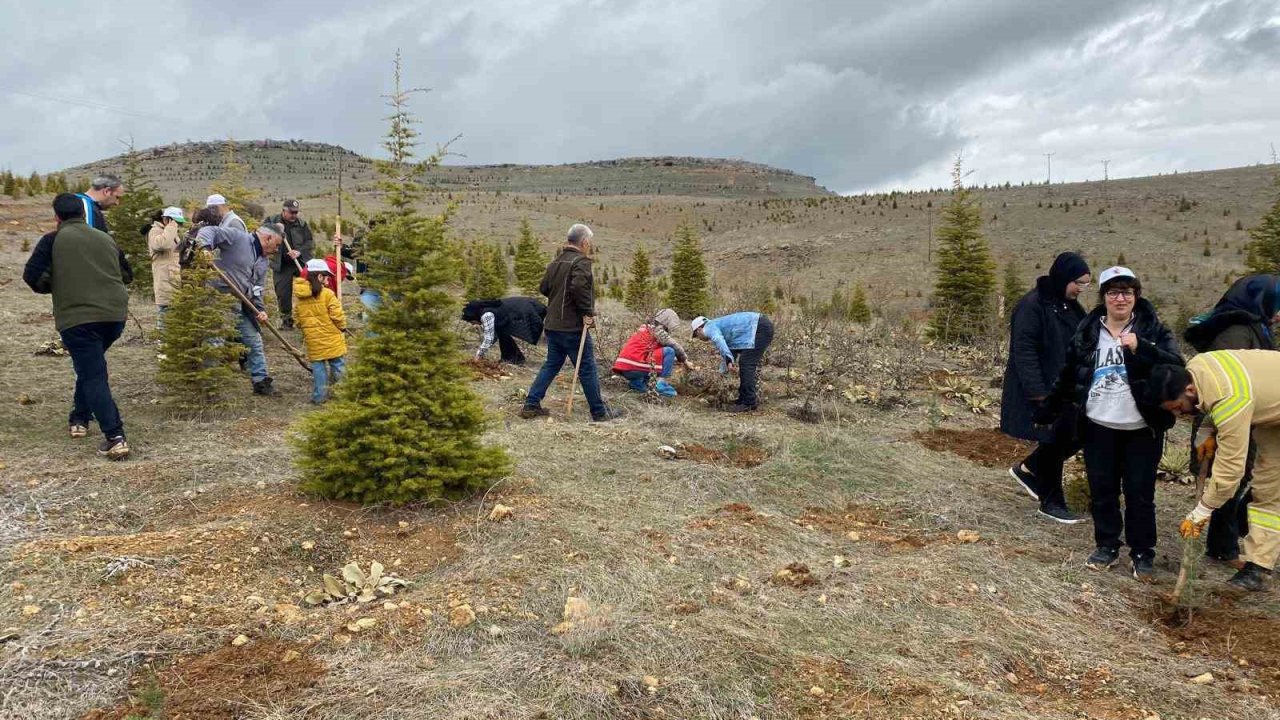 Elazığ’da fidan dikim etkinliği