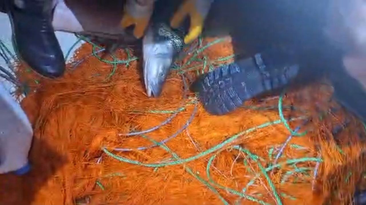 Elazığ’da kaçak avcılara ait 300 metrelik ağ ele geçirildi