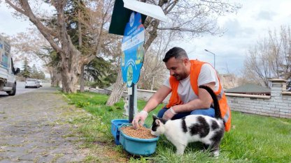 Elazığ’da sokak hayvanlarına mama desteği sürüyor