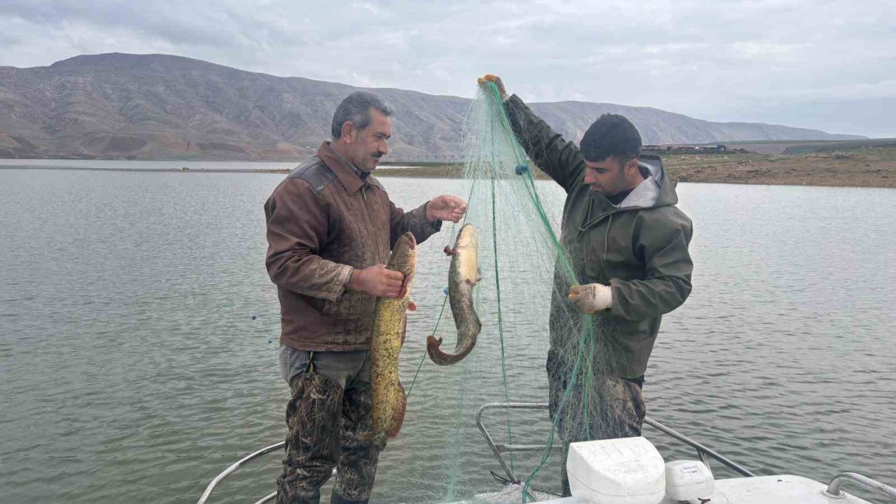 Elazığ’da su ürünleri araştırma çalışmaları sürüyor