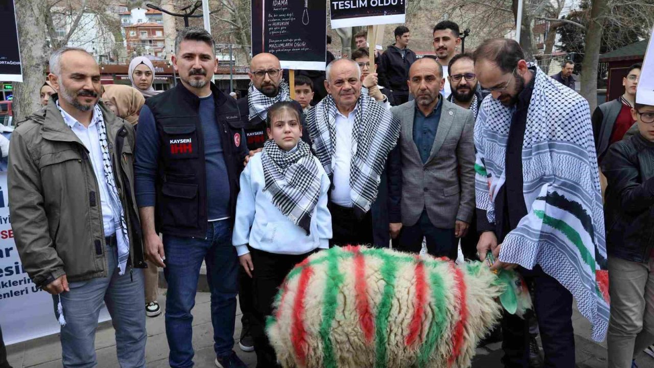 Elleriyle besleyip büyüttüğü kuzuyu Gazze’ye bağışladı