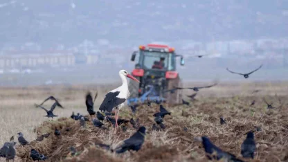 Erzincan’da zirai don uyarısı