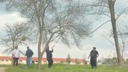 Eskişehir’de ‘mangal için ağaç dalını kırmaya çalıştılar’ iddiası