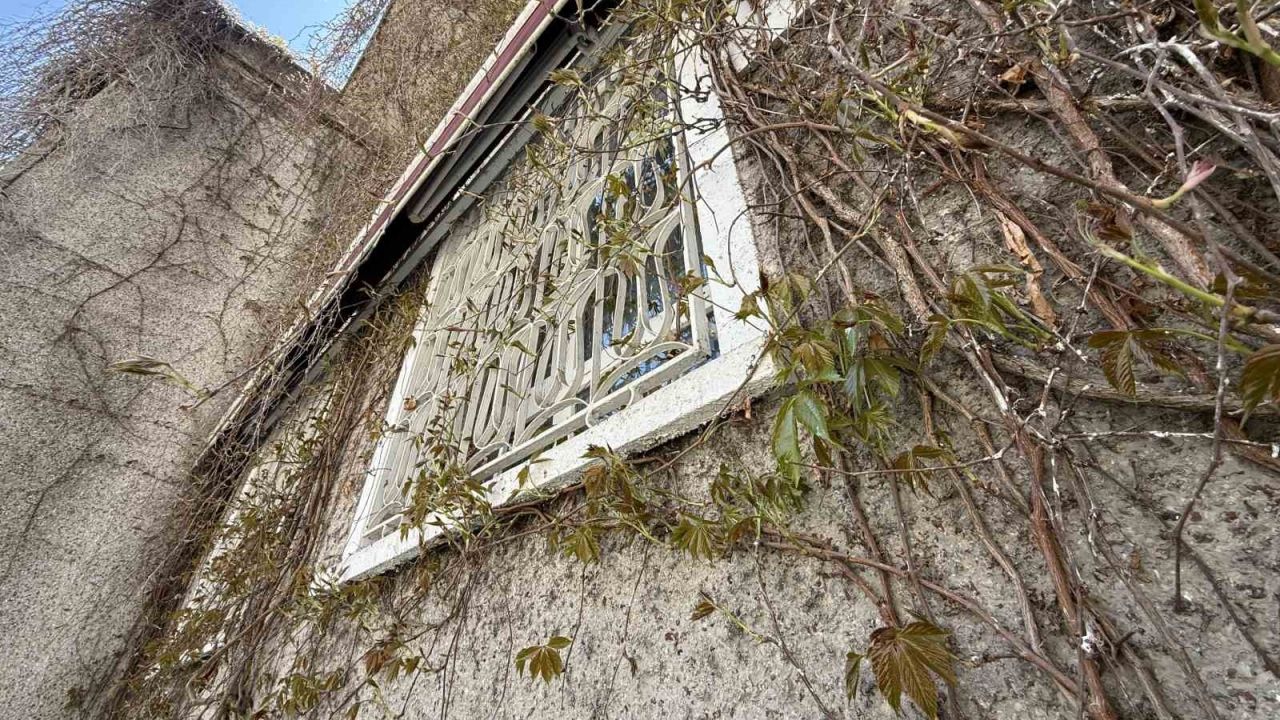 Eskişehir’de ‘Sarmaşıklı Camii’nin dış cephesi yeşermeye başladı