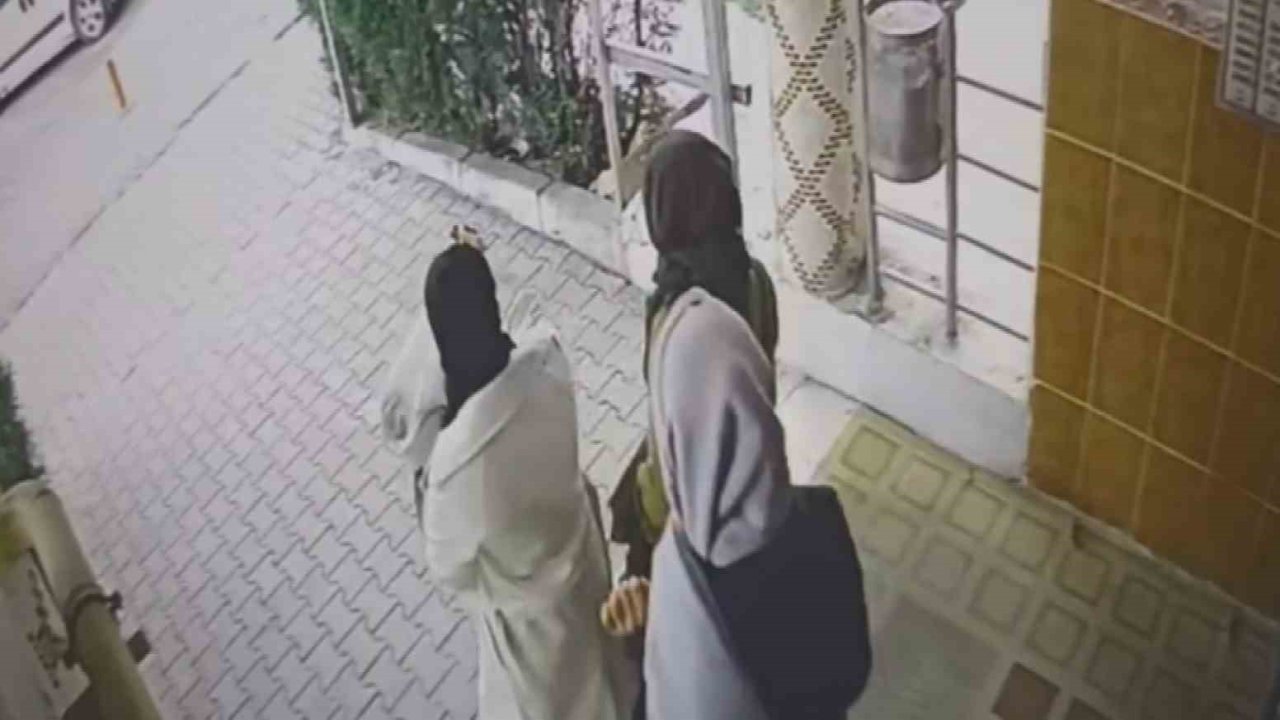 Ev fareleri kameraya yakalandı