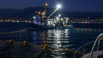 Gemlik Körfezi’nde sardalya avcılığı başladı