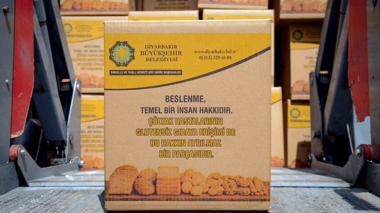 Glütensiz proje büyüyor