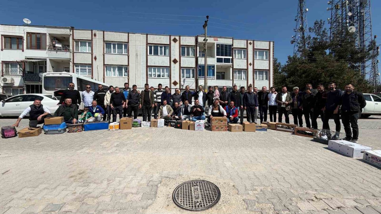 Güvercinin başkentinde gökyüzünde muhteşem şov