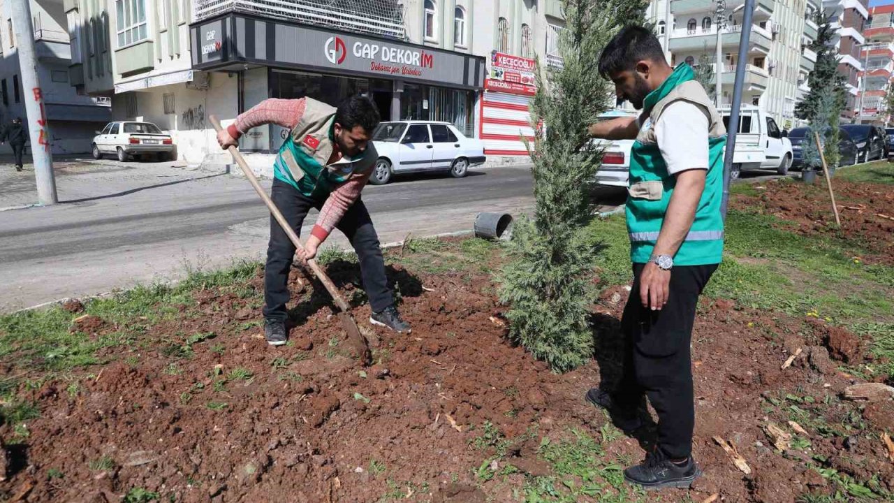 Haliliye’de yaz öncesi parklarda hummalı çalışma