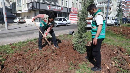 Haliliye’de yaz öncesi parklarda hummalı çalışma