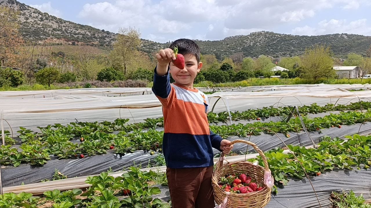 Hasadı çiftçi değil, vatandaş yaptı