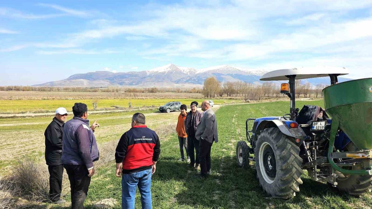 Haşhaş ve hububatta hastalık ve zararlı kontrolleri başladı