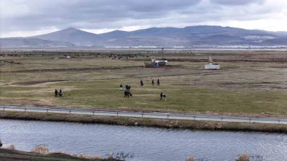 Hürmetçi’de sıcak asfalt, çevre temizliği ve yeşil alan atağı