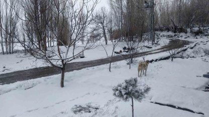 Iğdır’da nisan sürprizi: Yüksek kesimlerde kar, merkezde yağmur etkili