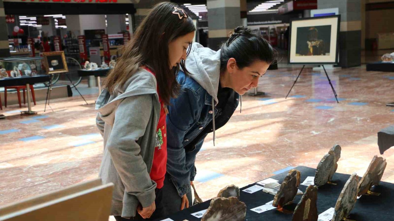 "İl İl Türkiye Sergisi" Diyarbakır’da sanatseverlerle buluştu