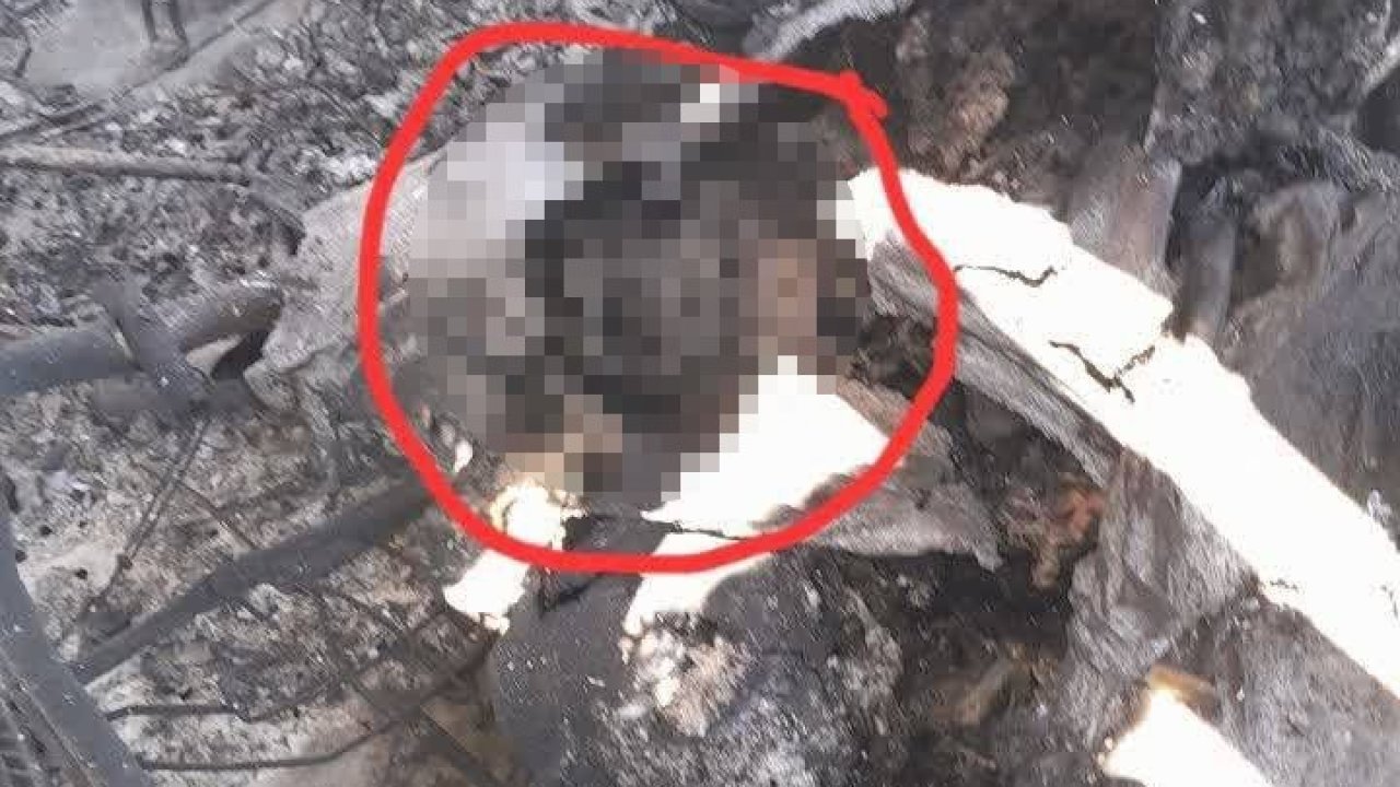 İran’dan düşürülen askeri uçakta ABD askerine ait vücut parçasının tespit edildiği iddiası