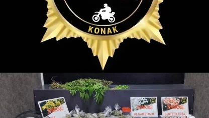 İzmir’de seraya çevirdiği evde kenevir yetiştiren şahıs tutuklandı