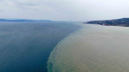 İzmit Körfezi iki renk oldu: Derenin taşıdığı çamur denizin rengini değiştirdi