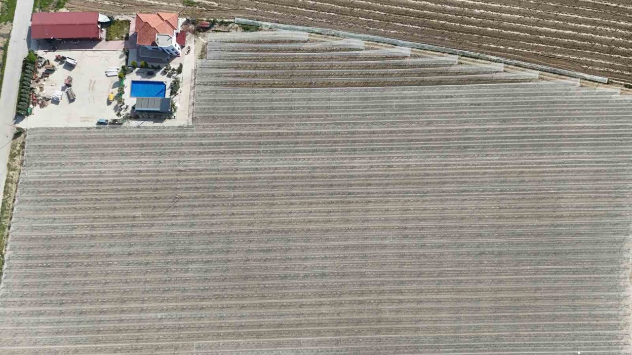 Kadın girişimciden tarımda akılcı çözüm