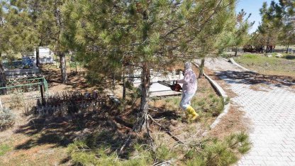 Kahramanmaraş’ta mezarlıklarda yenileme başladı