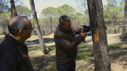 Kahramanmaraş’ta orman zararlılarına karşı mücadele sahada incelendi