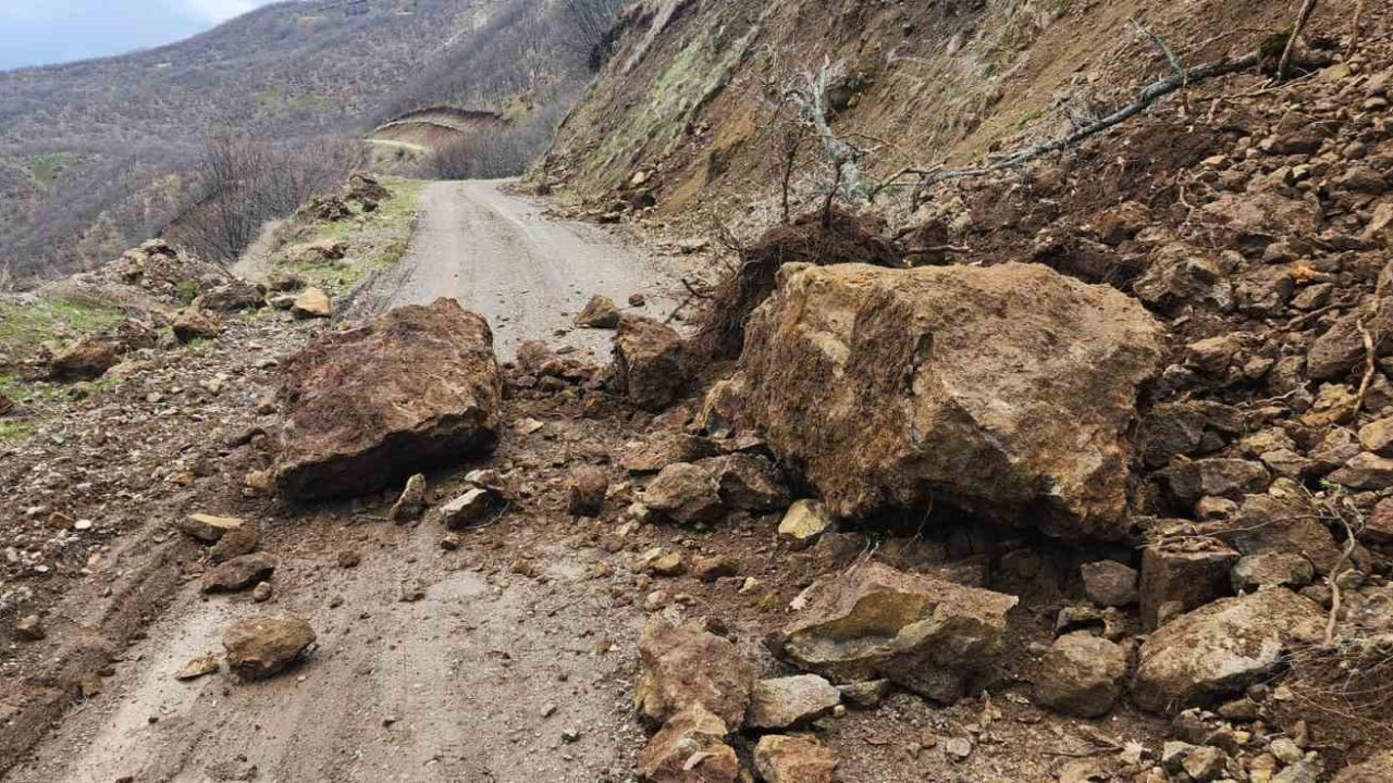 Karakoçan’da toprak kayması