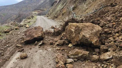 Karakoçan’da toprak kayması