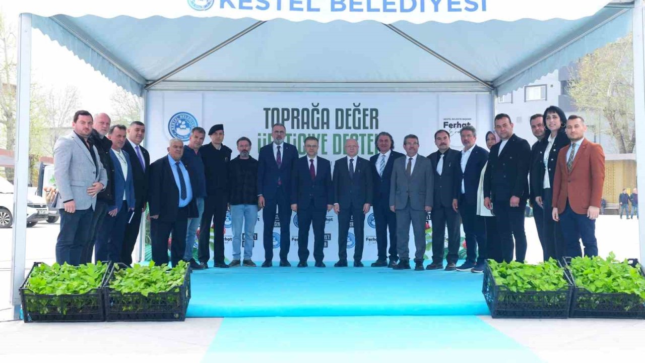 Kestel’de üreticiye 6 bin ahududu fidanı desteği
