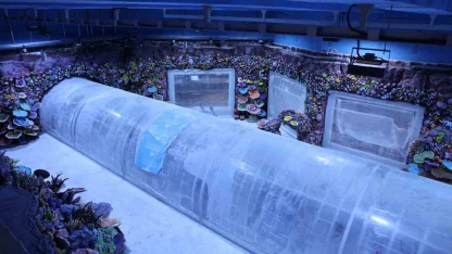 Kocaeli’de su altında dünya turu başlıyor: 30 farklı akvaryumla eşsiz gezi