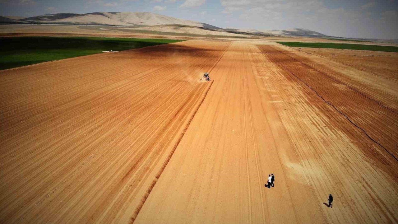 Konya Ovası’nda yağışlar rekolte beklentisini arttırdı