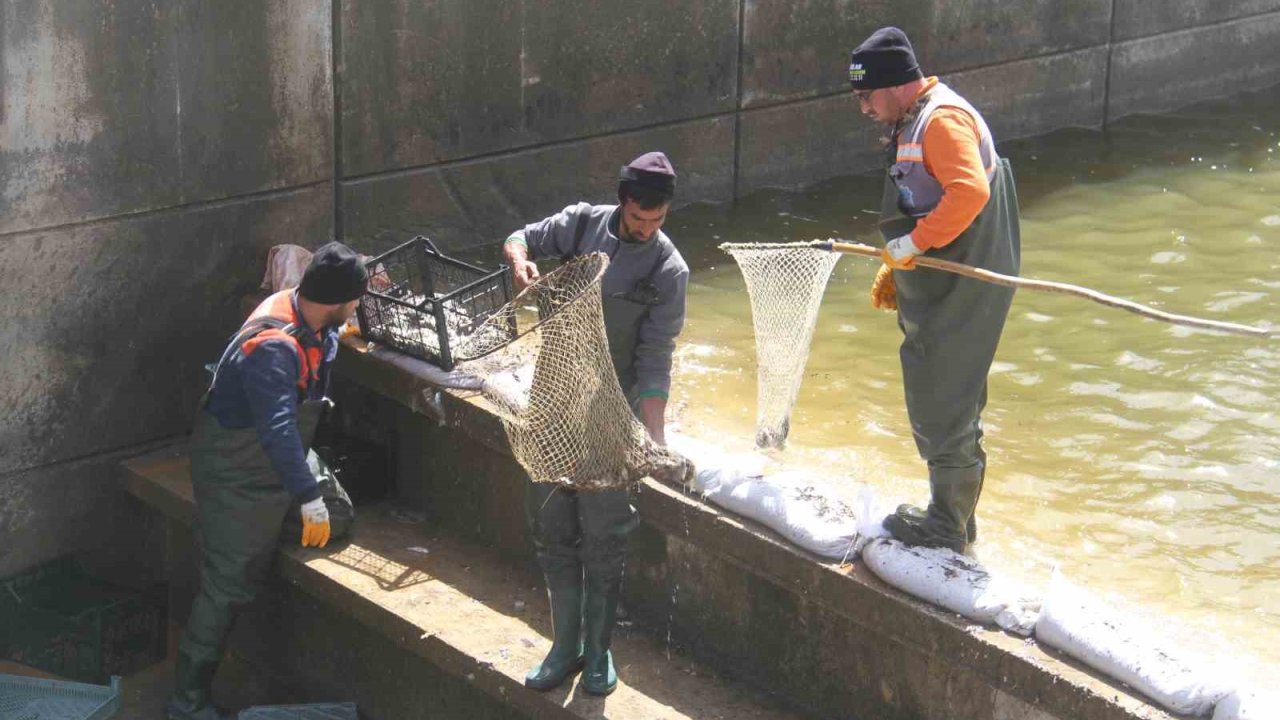 Konya’nın ’denizinde’ balıkları kurtarmak için zamanla yarış