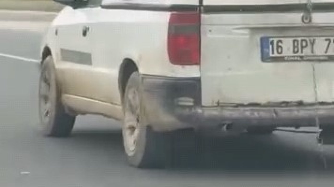 Köpeğin komik anları kamerada