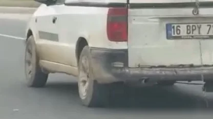 Köpeğin komik anları kamerada