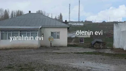 Köpek dehşetinin görüntüleri ortaya çıktı