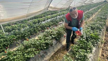 Köşk’ten Sultanhisar’a çapraz denetim