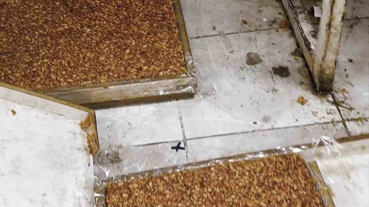 Kötü koku üzerine girilen evde mide bulandıran şartlarda lokum ve cezerye üretildiği ortaya çıktı