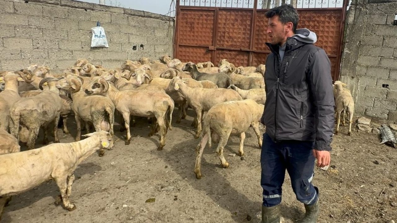 Kurbanlık parasıyla evlenmişti şimdi doğacak bebeği için kullanacak