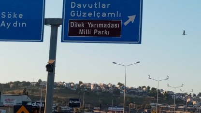 Kuşadası’nda leylekler geri döndü