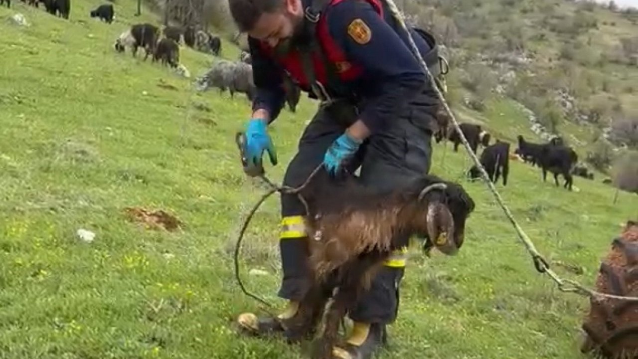 Kuyuya düşen keçiyi itfaiye kurtardı