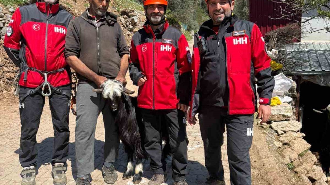 Mahsur kalan 2 keçi, 100 metrelik sarp araziden kurtarıldı