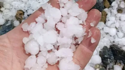 Malatya’da dolu kayısı bahçelerine zarar verdi