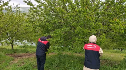 Malatya’da dolu sonrası hasar tespit çalışmaları başlatıldı