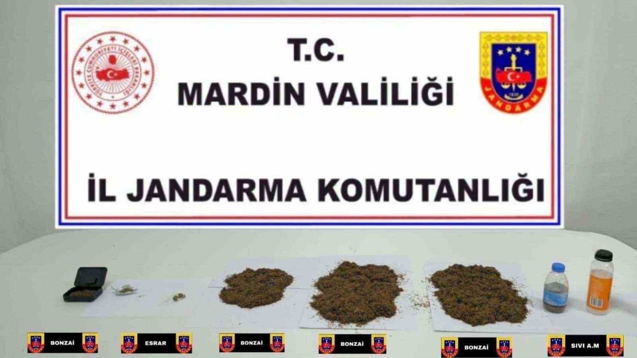 Mardin’de uyuşturucu operasyonu