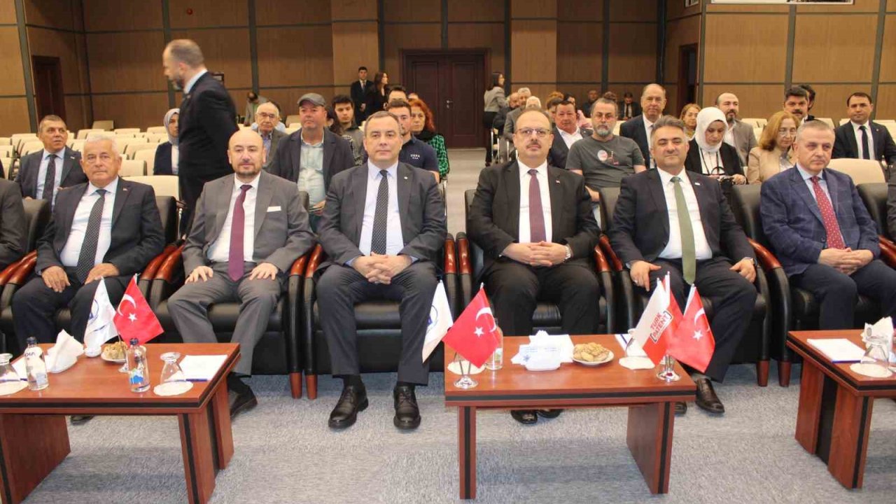 Memecik Zeytinyağı dünya markası olacak