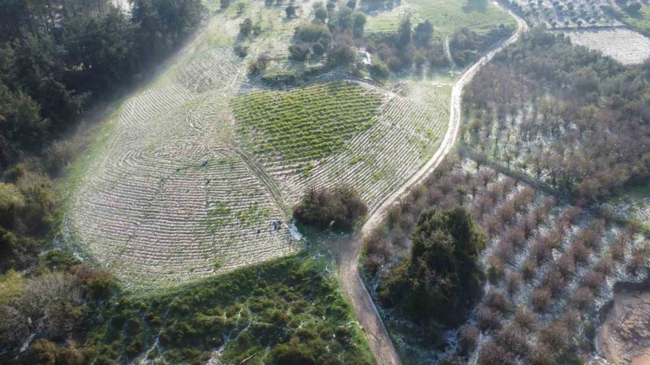 Mersin’de misket büyüklüğünde dolu etkili oldu: Orman ve bahçeler beyaza büründü