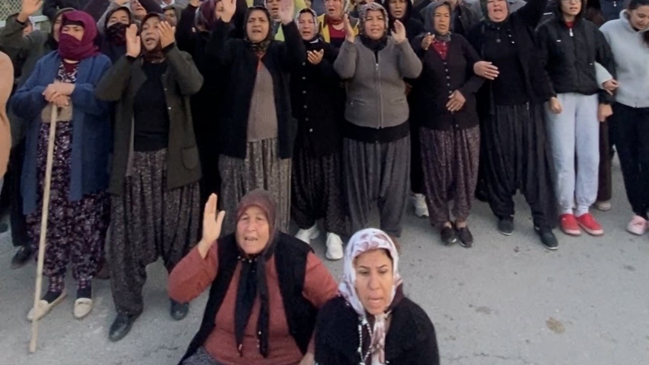 Mersin’de ormanlık alana ekili narenciye bahçelerinin kaldırılması kararına tepki