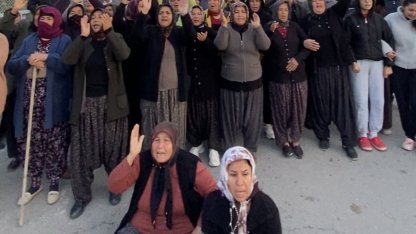 Mersin’de ormanlık alana ekili narenciye bahçelerinin kaldırılması kararına tepki